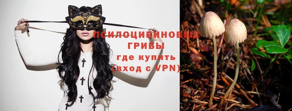 стаф Балахна