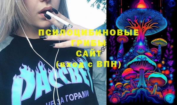 стаф Балахна