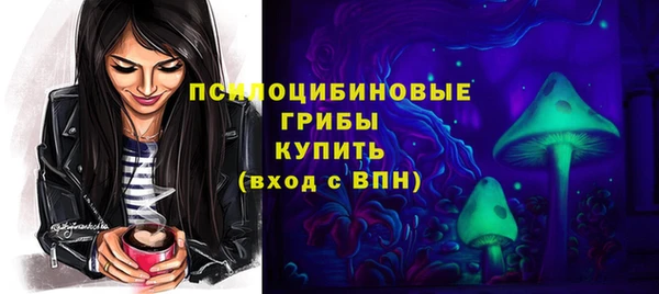 стаф Балахна